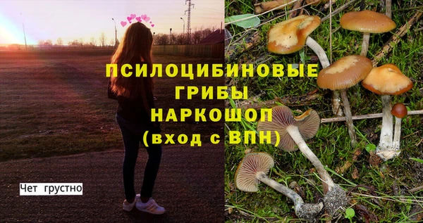 марки nbome Верея